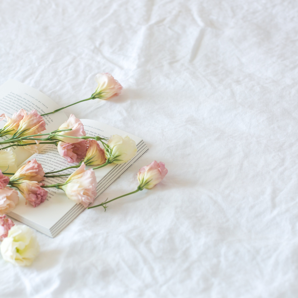 Valentine´s Romantic Moments