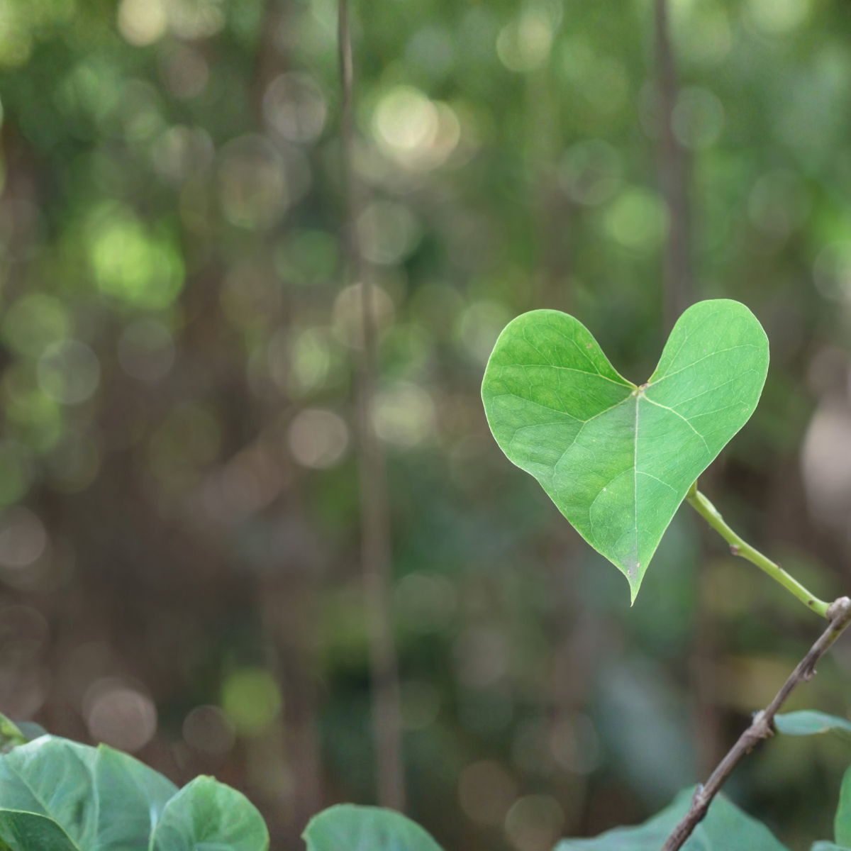 Mellandagsrea - 30% rabatt